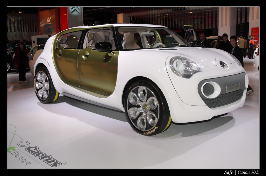 2008   10   Salon auto Paris   165